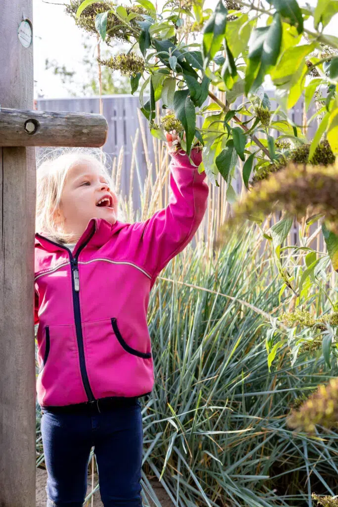 Kind Kijkt Naar Blaadjes Plant 683x1024 1