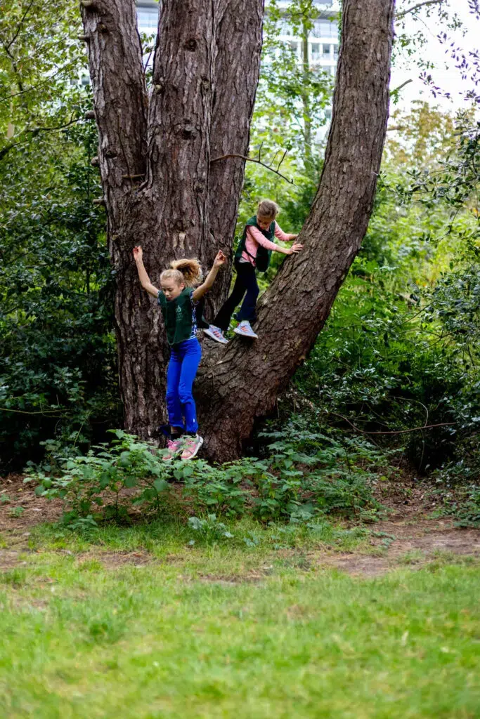 Kinderen Spelen In Boom Vakantieopvang 683x1024 1