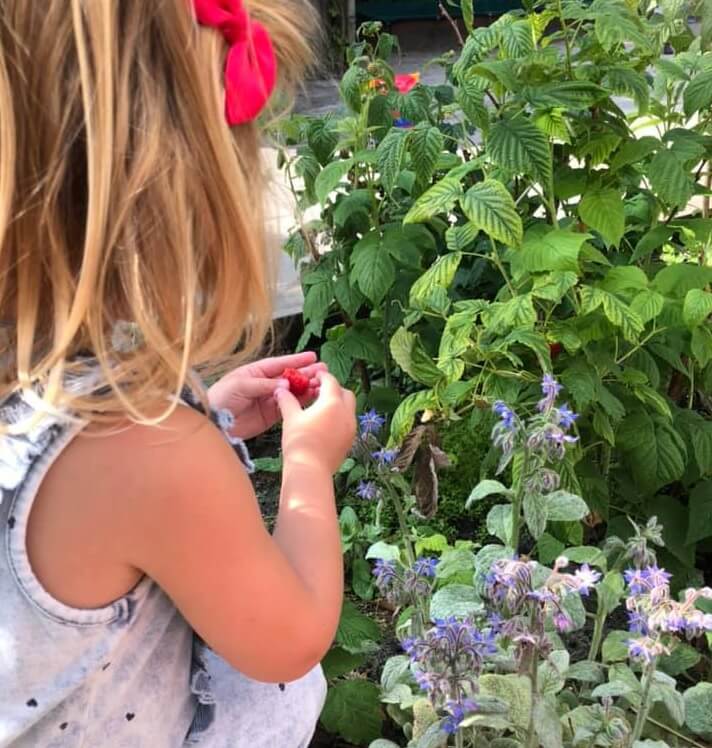 Zo Kinderopvang Locatie Zo Aan Het Oosteinde Bekijkt De Planten In De Tuin