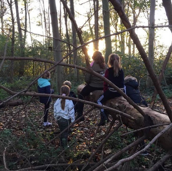 Zo Kinderopvang Kinderen Spelen In Bos